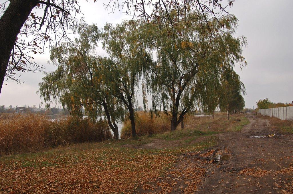 Кремінець з panoramio.com - Кремінець