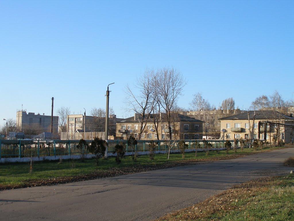 Близнюки з panoramio.com - Близнюки