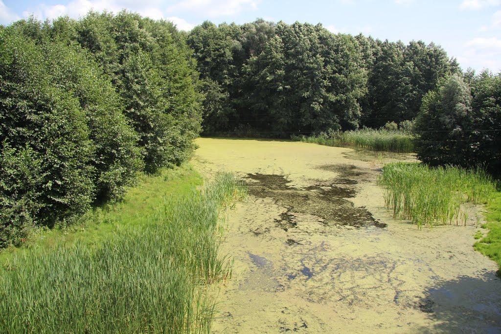 Підозірка з panoramio.com - Підозірка