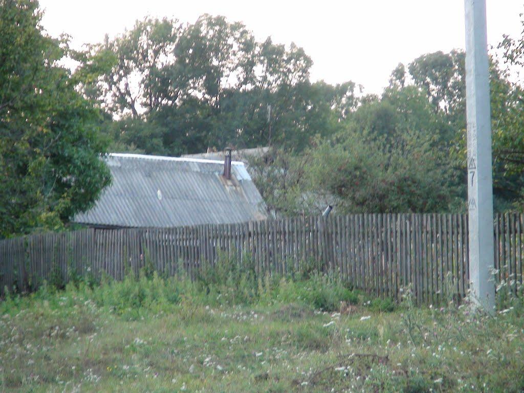 Люлинці з panoramio.com - Люлинцы