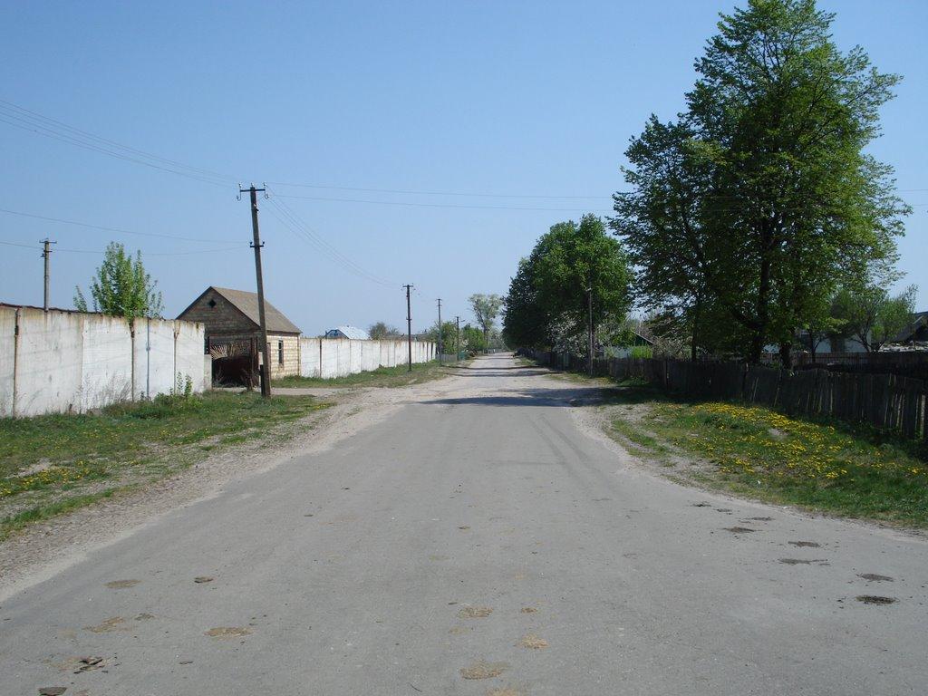 Ніжиловичі з panoramio.com - Ніжиловичі