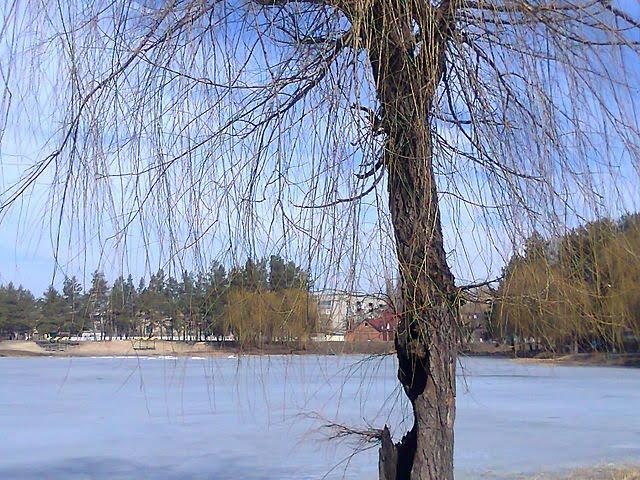 Красний Лиман з panoramio.com - Красний Лиман