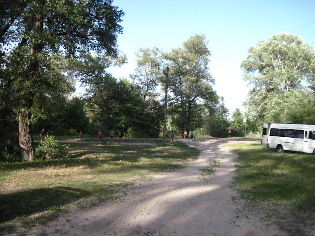 Кияшки з panoramio.com - Кияшки