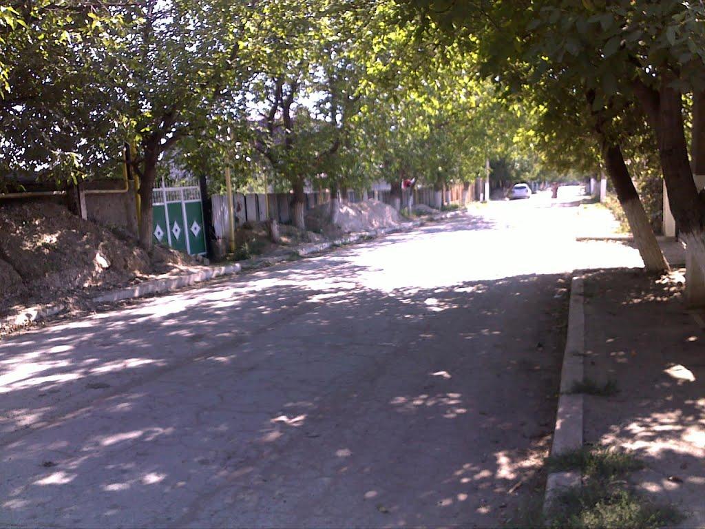 Новокрасне з panoramio.com - Новокрасное