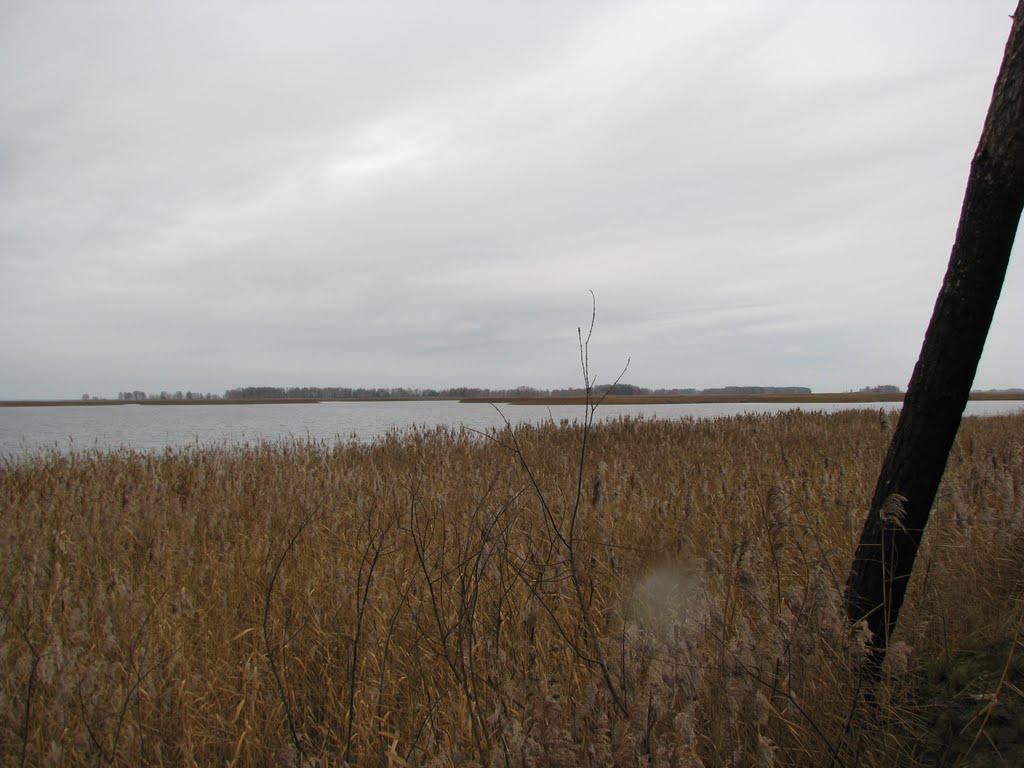 Лошакова Гута з panoramio.com - Лошакова Гута