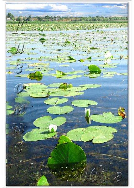 Кізомис з panoramio.com - Кізомис