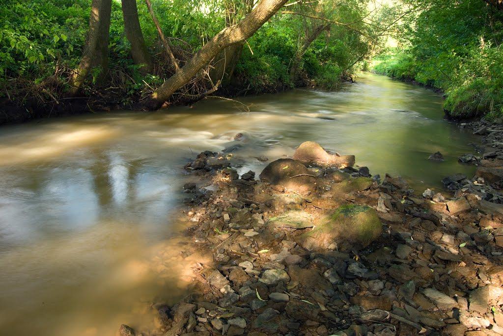 Миньківці з panoramio.com - Миньківці