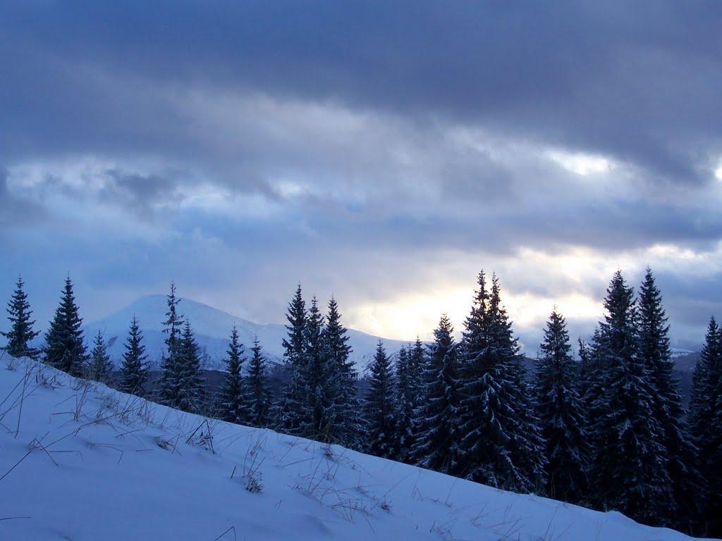 Вороненко з panoramio.com - Вороненко