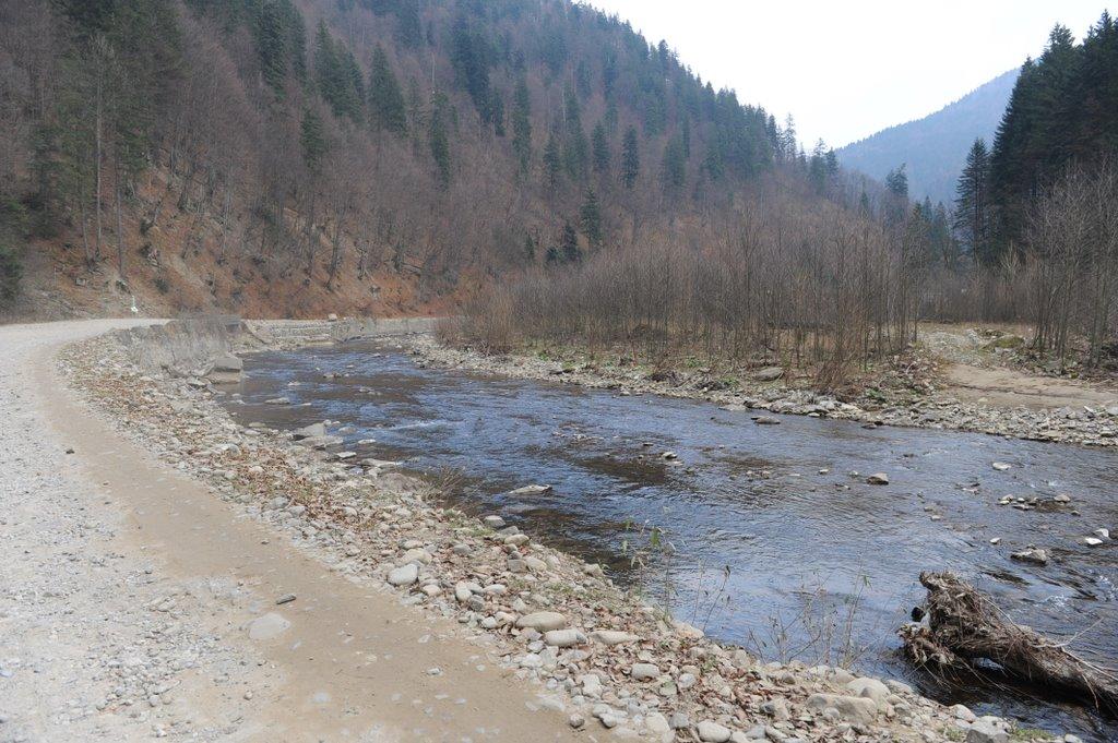 Усть-Чорна з panoramio.com - Усть-Чорна