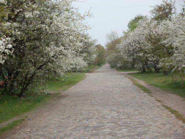 Жовнине з panoramio.com - Жовнине