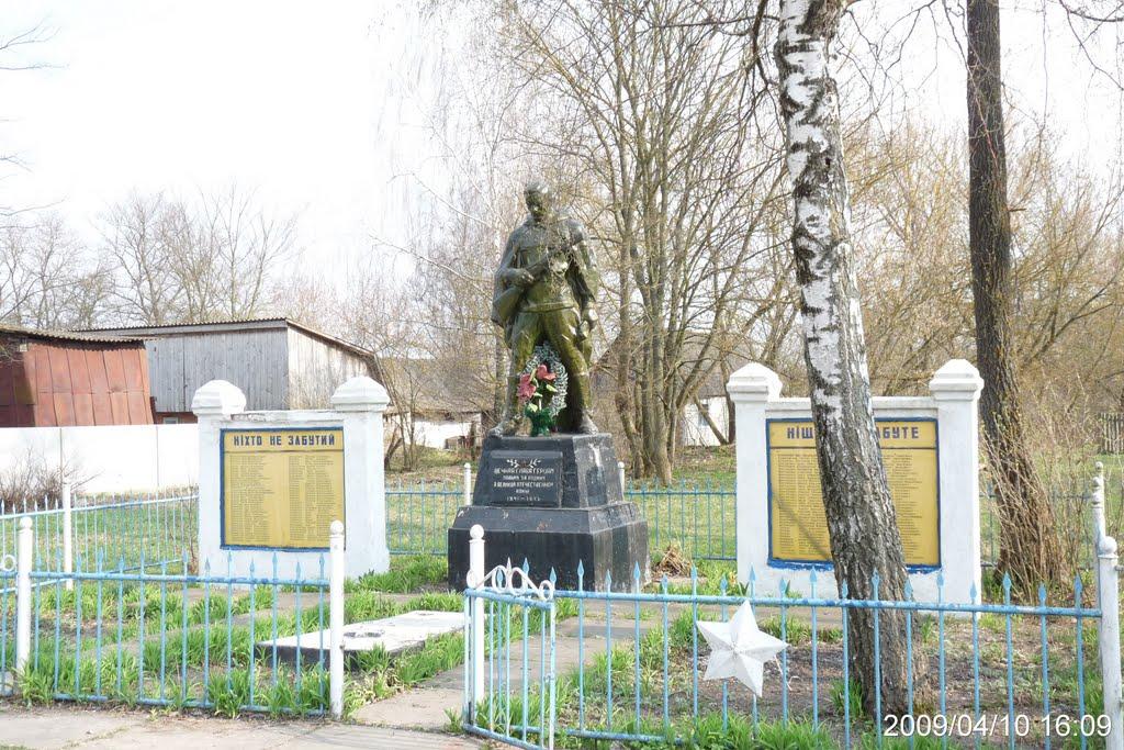 Оране з panoramio.com - Ораное