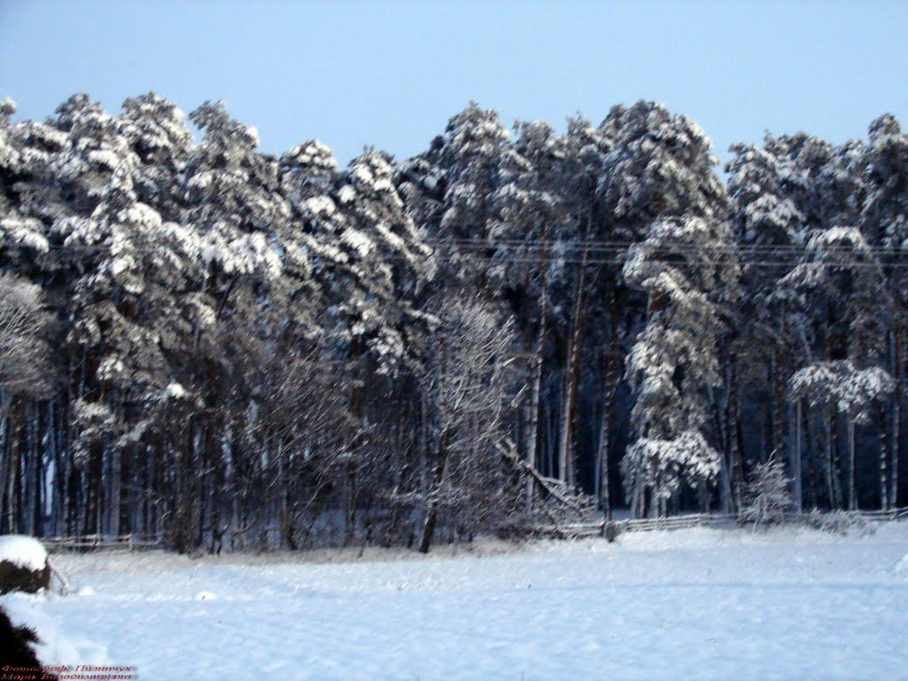 Карасиха з panoramio.com - Карасиха