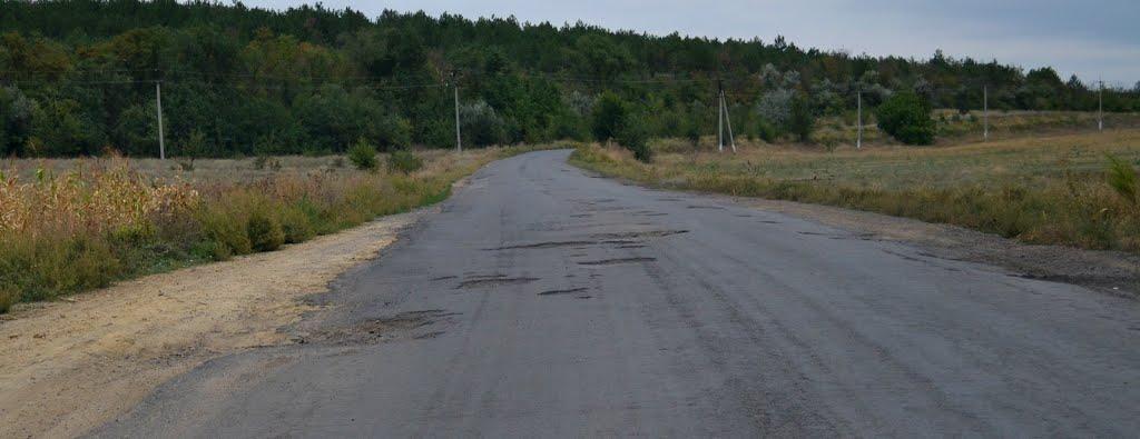 Шеметове з panoramio.com - Шеметове