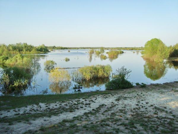 Макишин з panoramio.com - Макишин