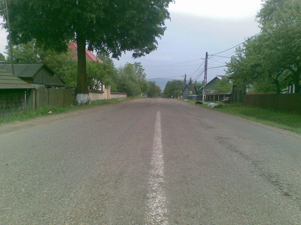 Корчівці з panoramio.com - Корчівці