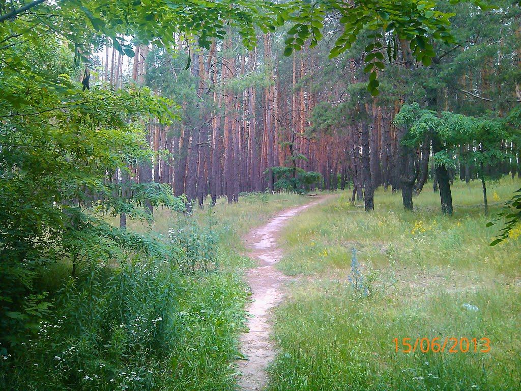 Подвірки з panoramio.com - Подворки