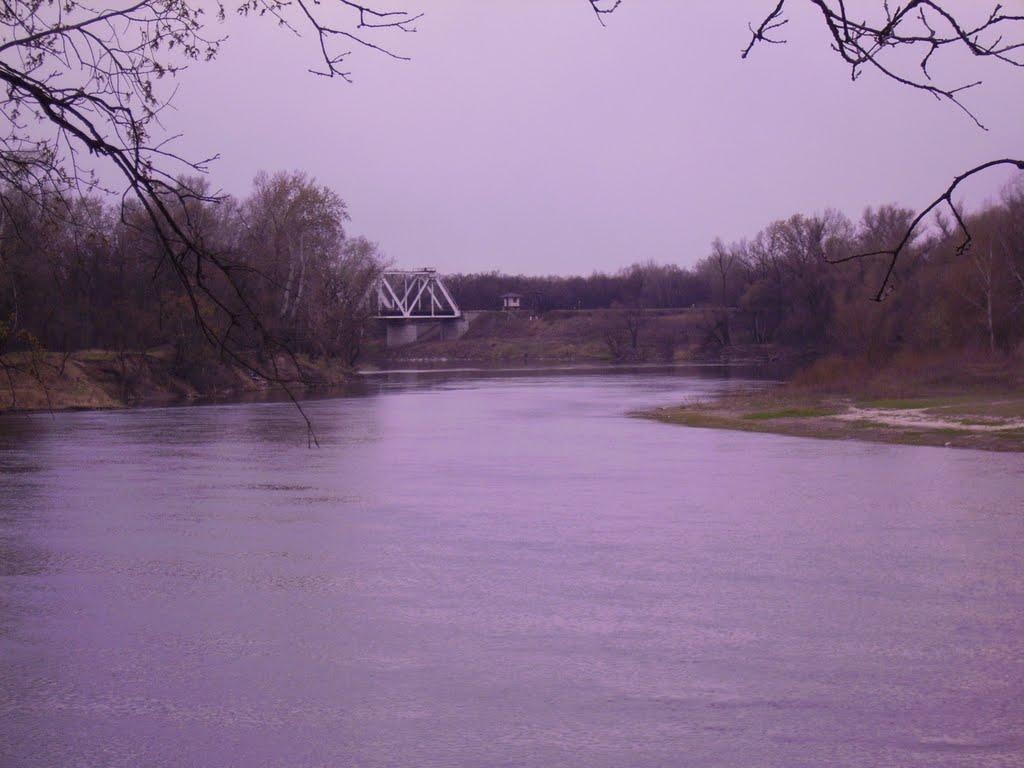Станично-Луганське з panoramio.com (ч.2) - Станично-Луганское