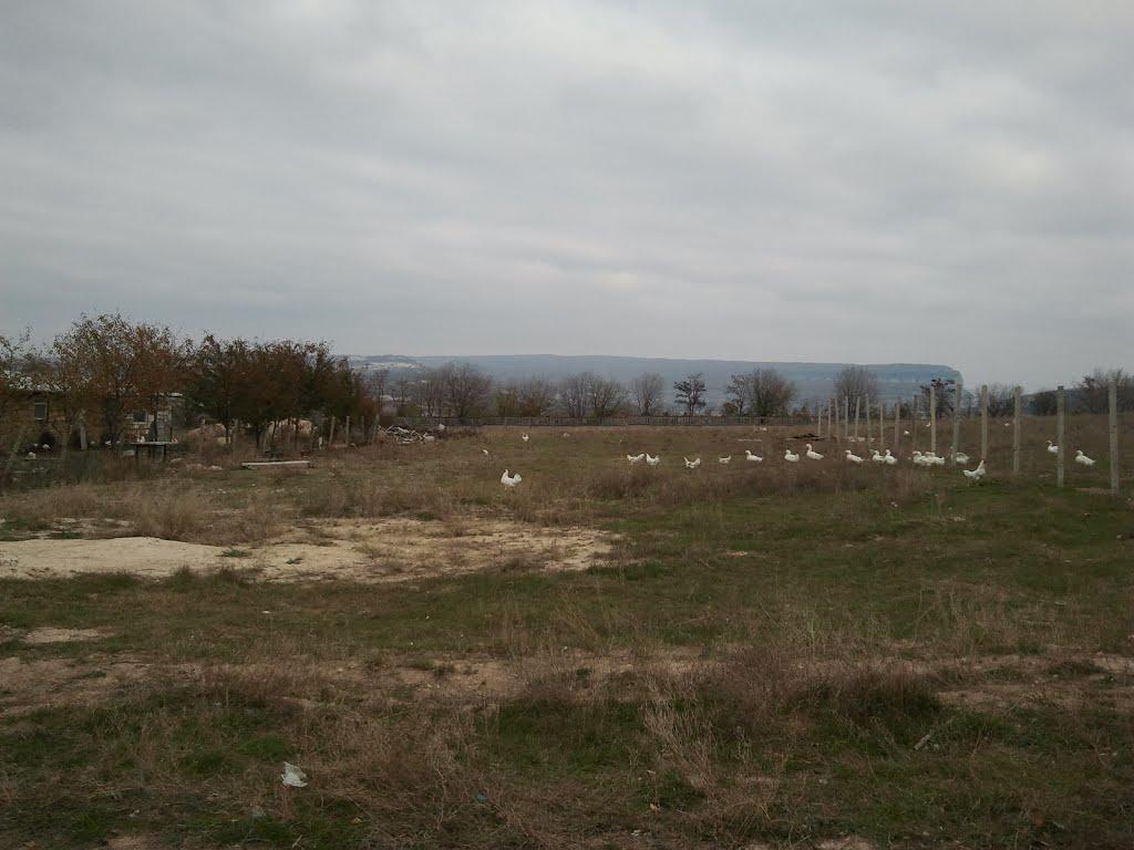 Холмівка з panoramio.com - Холмовка