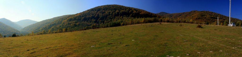 Тур'я Пасіка з panoramio.com - Тур'я Пасіка