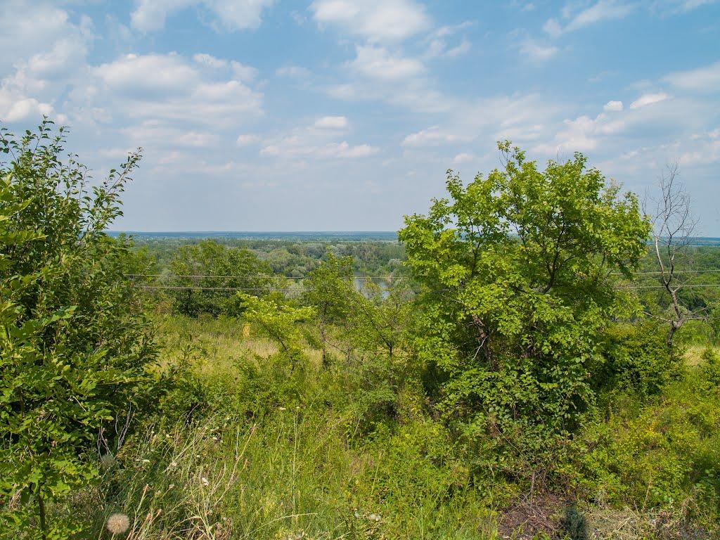 Станично-Луганське з panoramio.com (ч.2) - Станично-Луганское