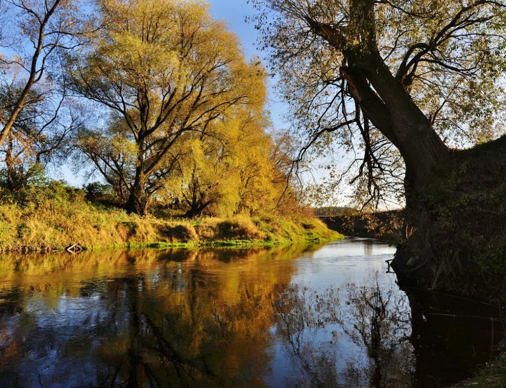 Стриганка з panoramio.com