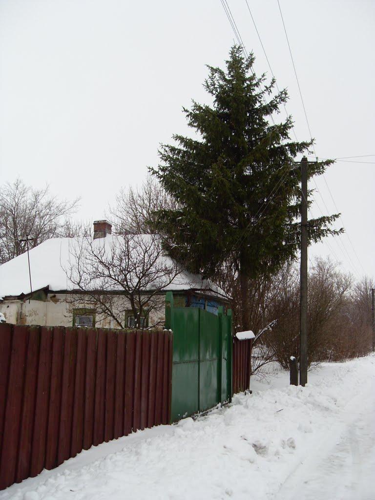 Іскрисківщина з panoramio.com - Іскрисківщина