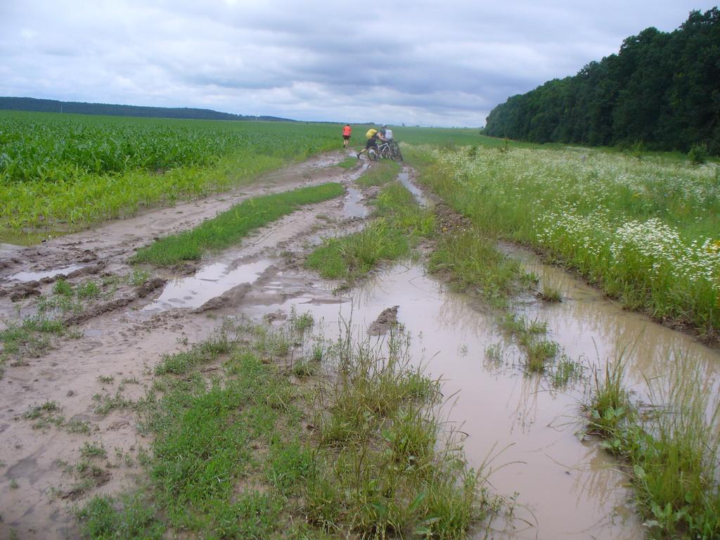 Бедриківці з panoramio.com - Бедриківці