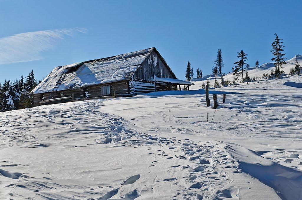Вороненко з panoramio.com - Вороненко