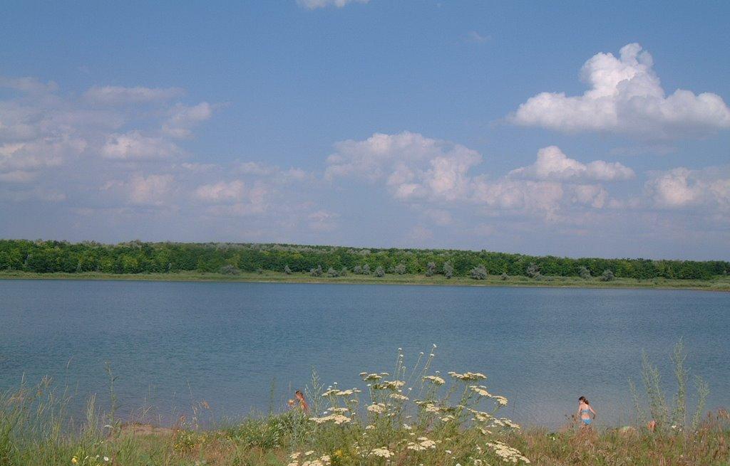 Димитрове з panoramio.com - Димитрове