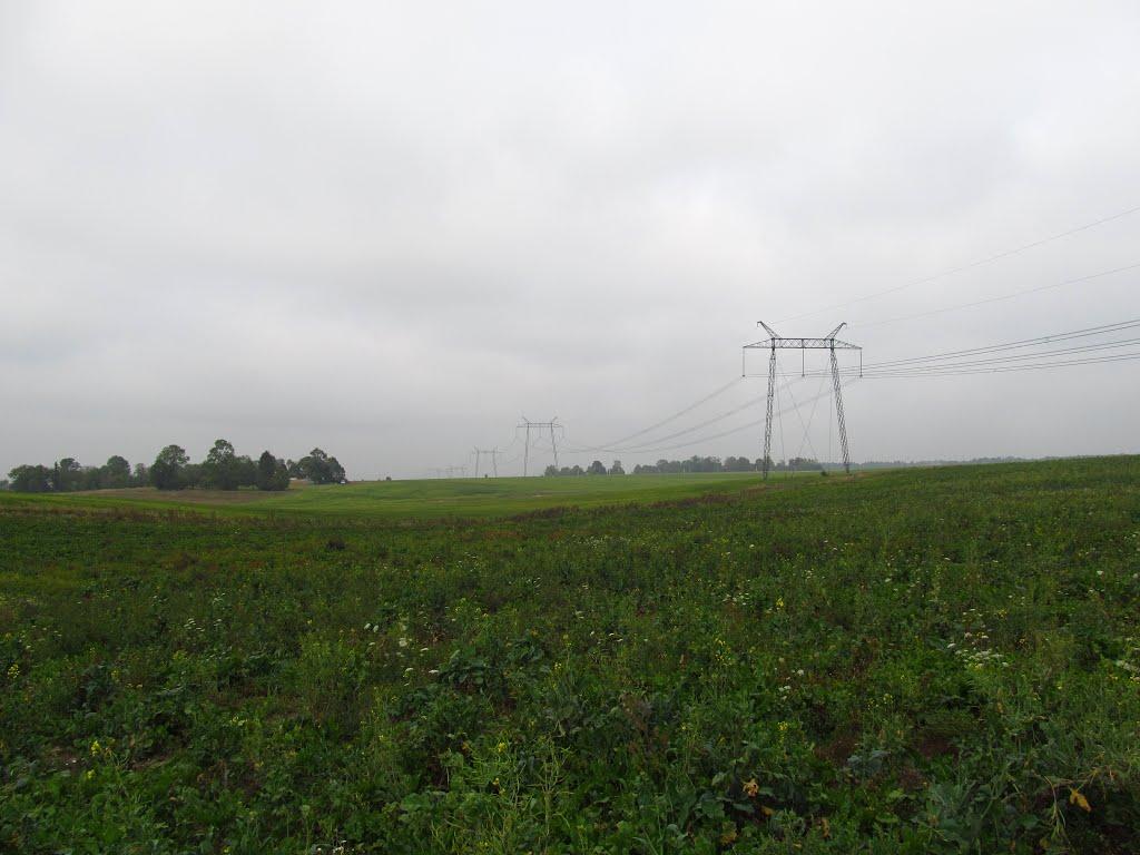 Панасівка з panoramio.com - Панасівка