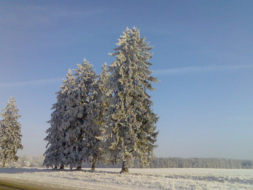 Копичинці з panoramio.com - Kopychyntsi