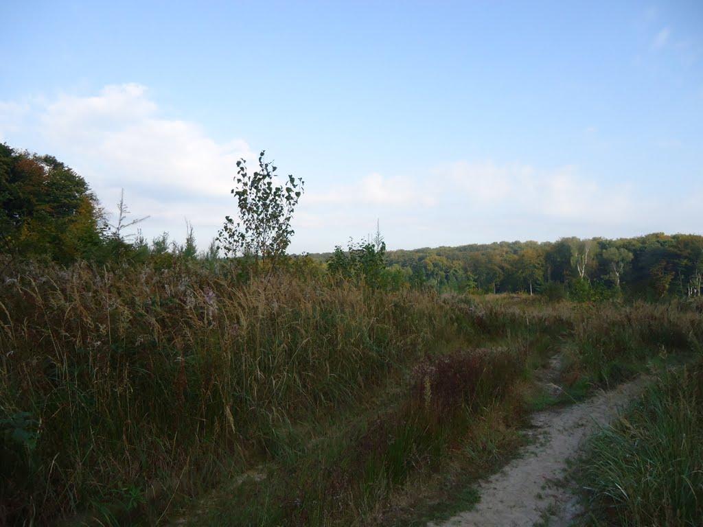 Воля-Добростанська з panoramio.com - Воля-Добростанська