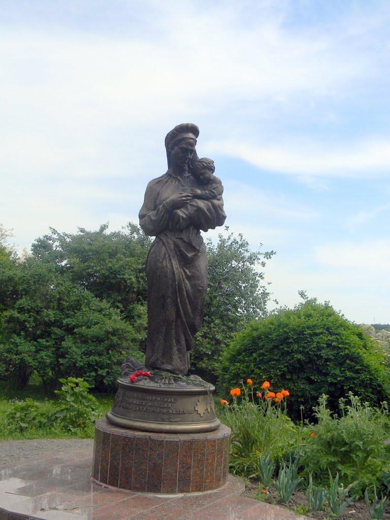 Шевченкове з panoramio.com - Шевченково