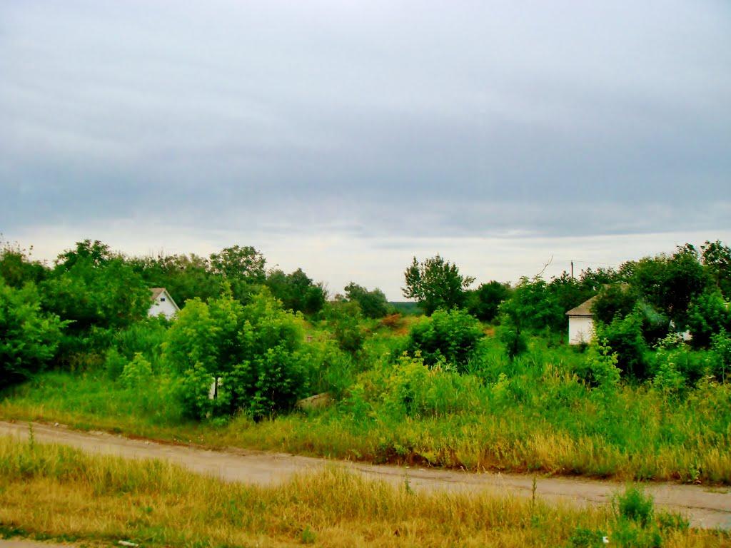 Неморож з panoramio.com - Неморож