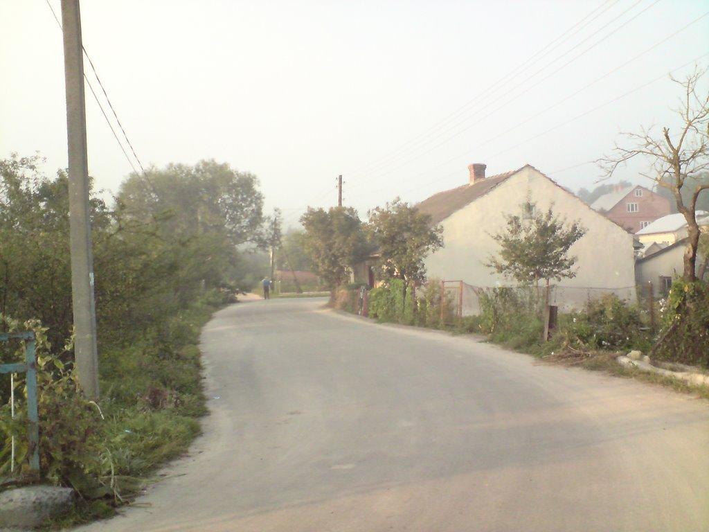 Бережани з panoramio.com - Бережаны