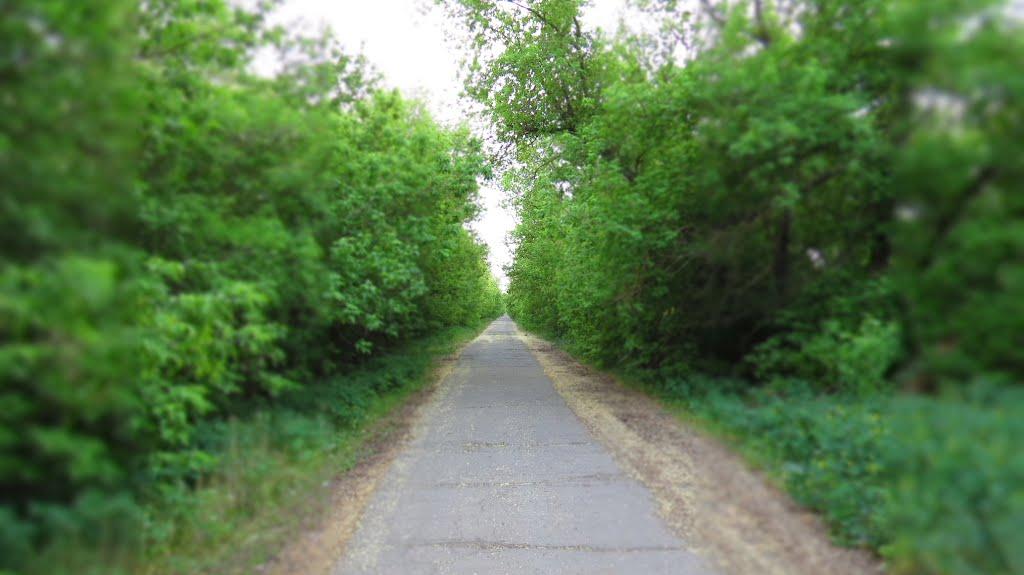 Ракшівка з panoramio.com - Ракшивка