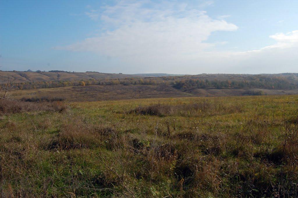 Білогорівка з panoramio.com - Белогоровка