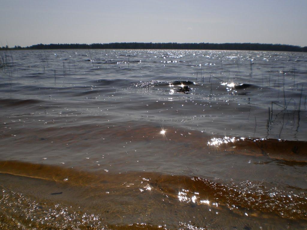 Острівськ з panoramio.com - Островск