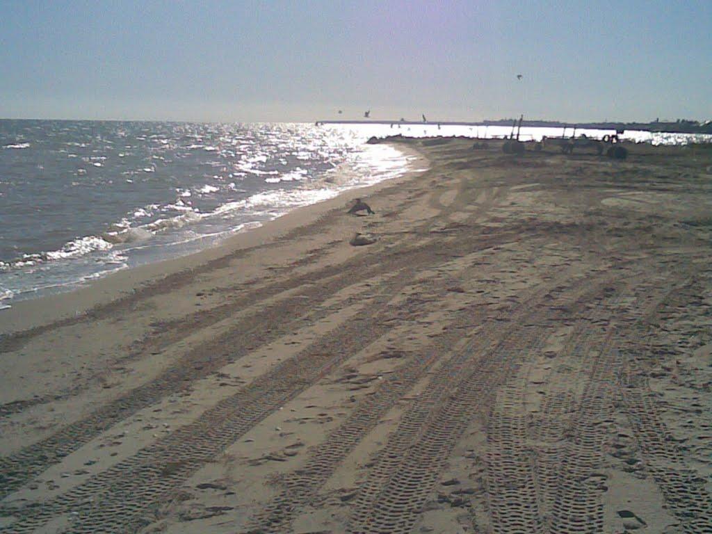 Строганівка з panoramio.com - Строганівка