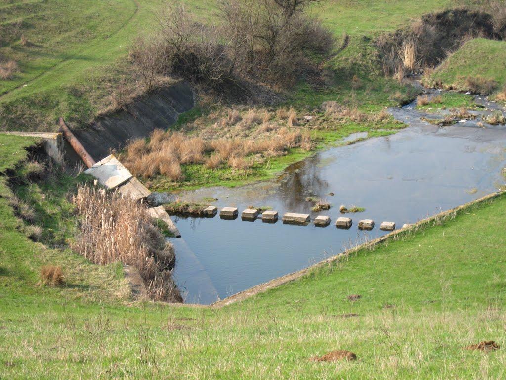 Василівська Пустош з panoramio.com - Василівська Пустош