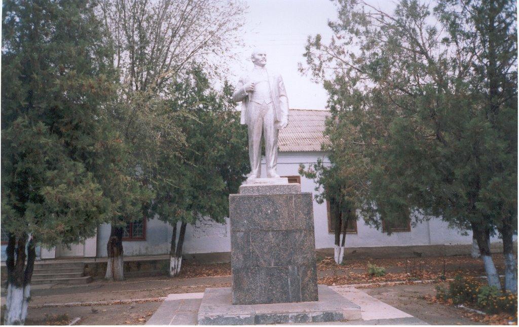 Виноградівка з panoramio.com - Виноградівка