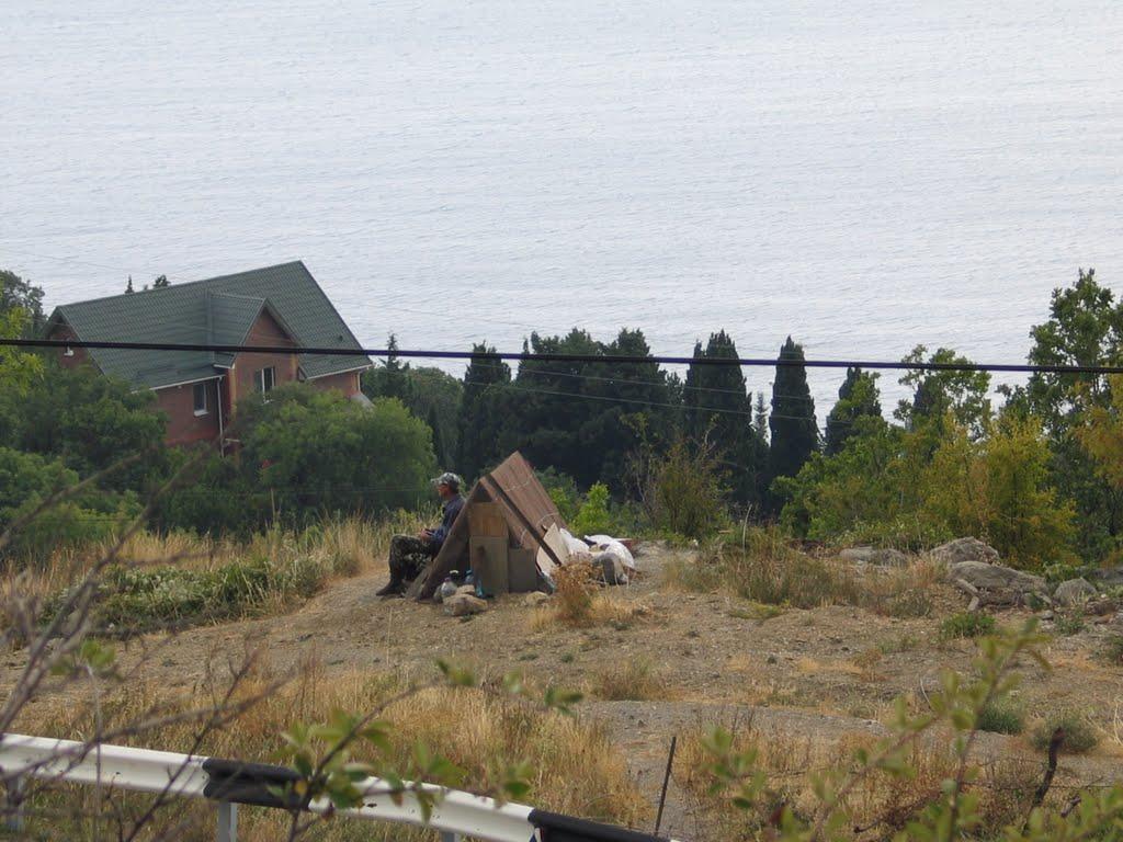 Олива з panoramio.com - Olyva