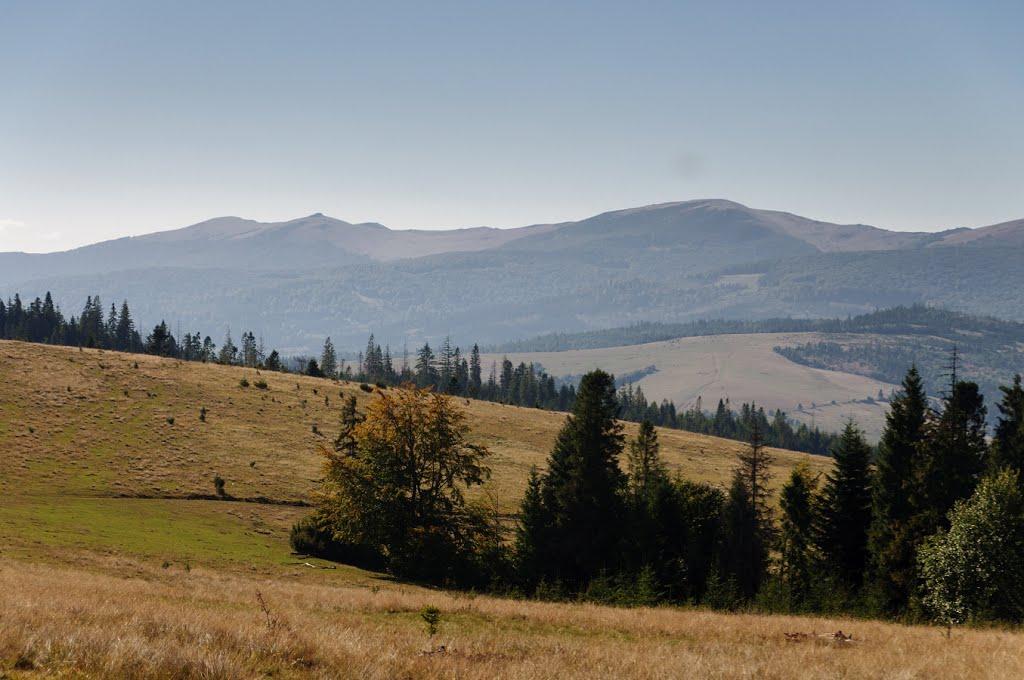 Карпатське з panoramio.com - Карпатське