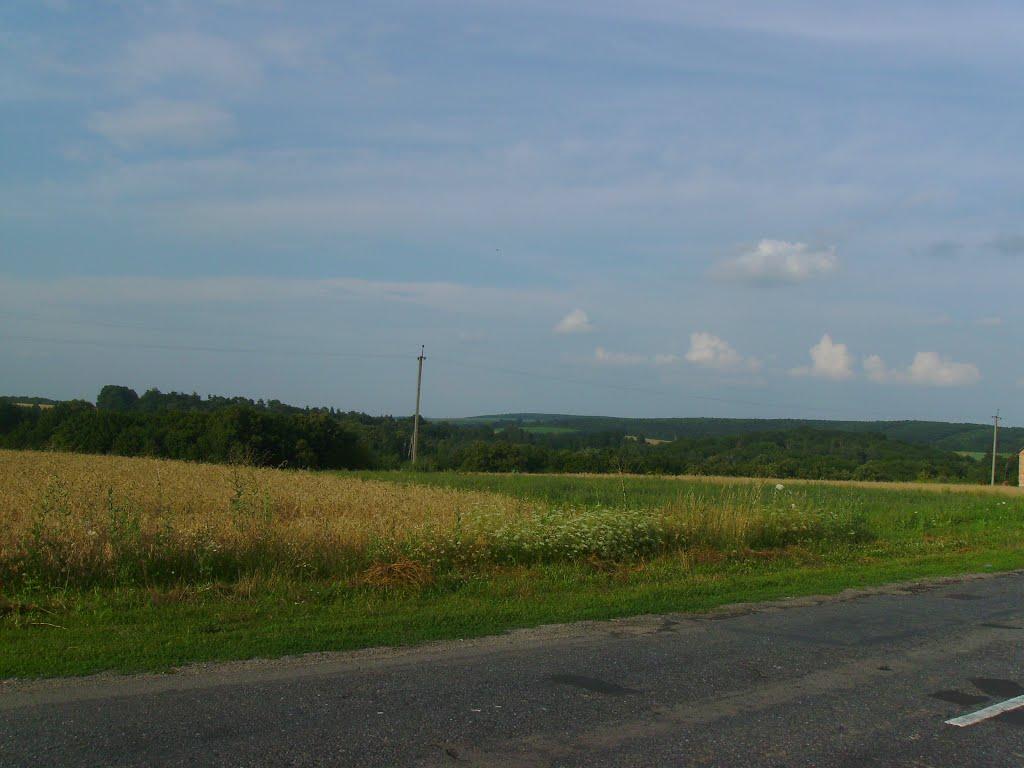 Почапинці з panoramio.com - Почапинці