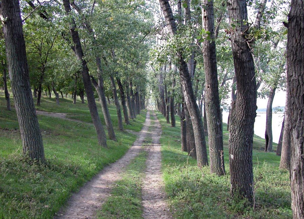 Новокрасне з panoramio.com - Новокрасне