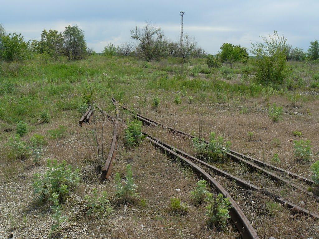 Степногірськ з panoramio.com - Степногорск