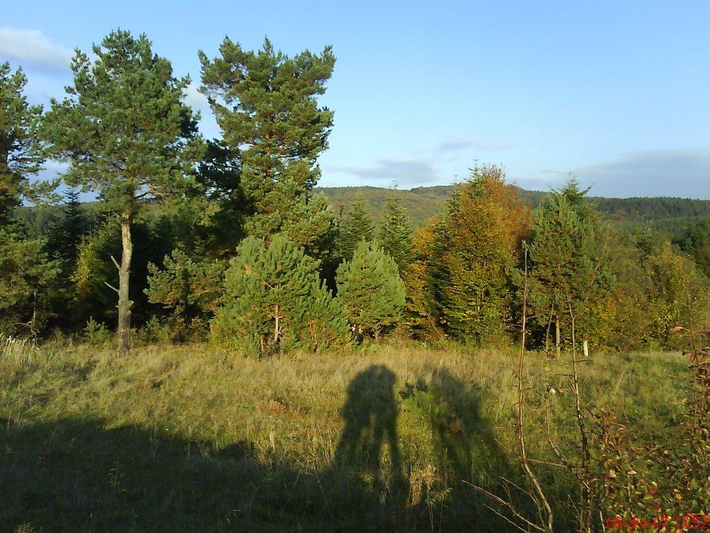 Лопушниця з panoramio.com - Лопушниця