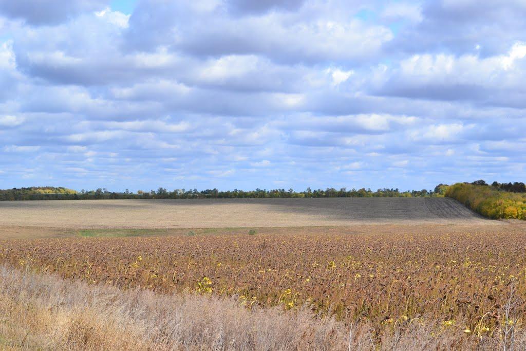 Новомлинівка з panoramio.com - Новомлинівка