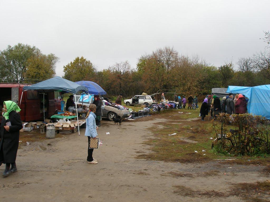 Степашки з panoramio.com - Степашки