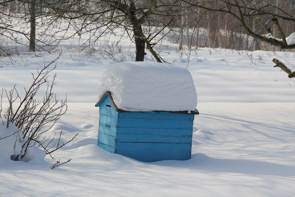 Дениші з panoramio.com - Дениші